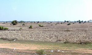 20100225-28 cambodia (13).jpg
